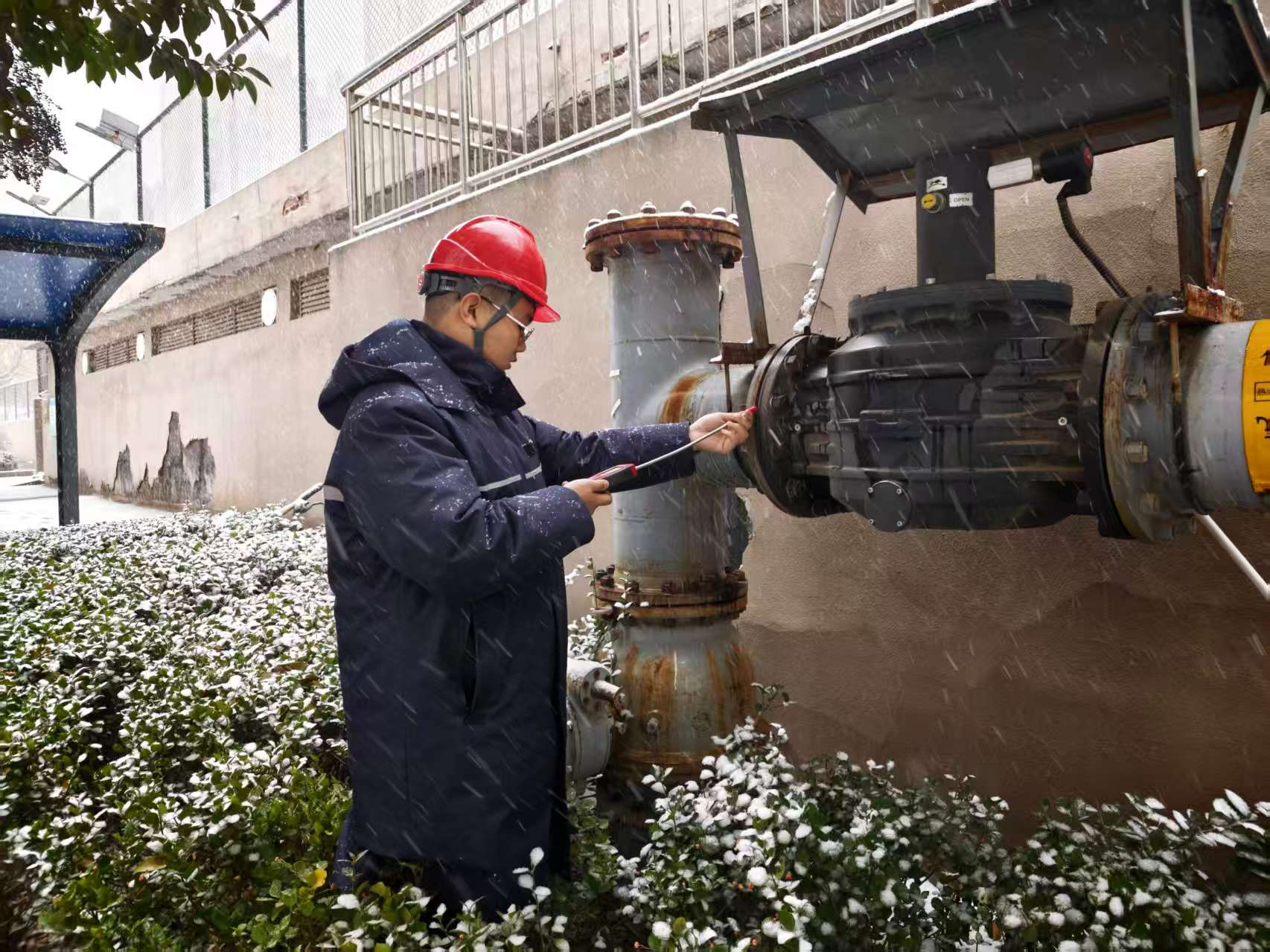 大发国际(中国区) - 官方网站